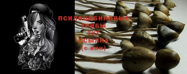 прущий лед Богданович