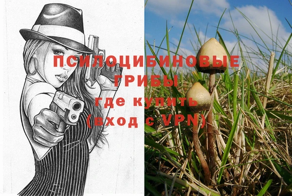 кокс Каменка