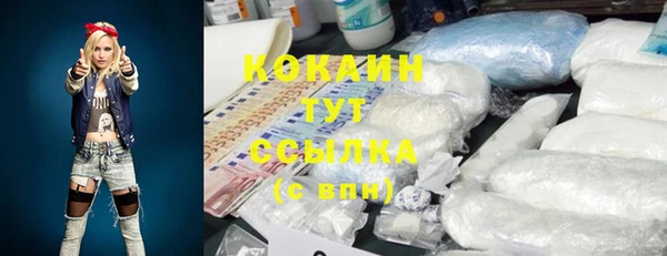 тгк Армянск