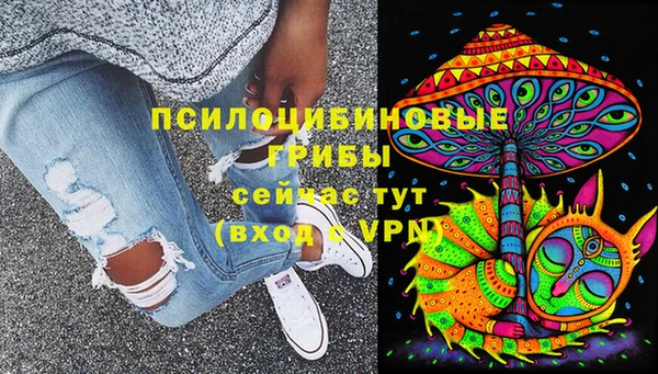 соль курить ск Каменногорск