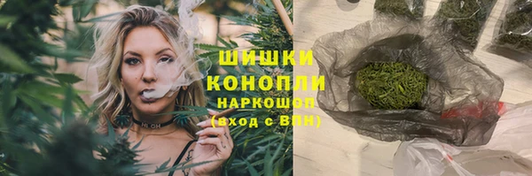 МДПВ Богородицк
