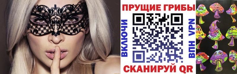 Галлюциногенные грибы Cubensis  хочу наркоту  Новомосковск 
