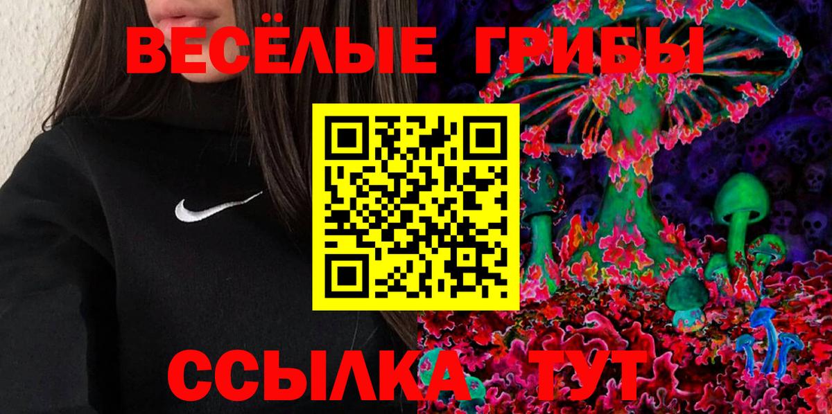 Галлюциногенные грибы Psilocybine cubensis  где купить наркоту  Новомосковск  Вход с VPN  Галлюциногенные грибы Psilocybe 