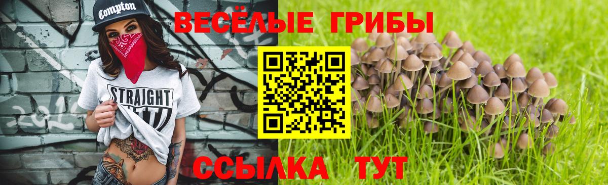 Галлюциногенные грибы мицелий Новомосковск