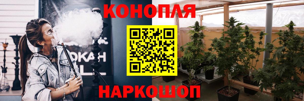Конопля марихуана Новомосковск