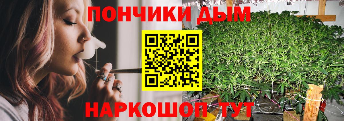 Бошки Шишки конопля  Вход с VPN  Бошки Шишки гибрид  Марихуана планчик  Новомосковск  Каннабис план 